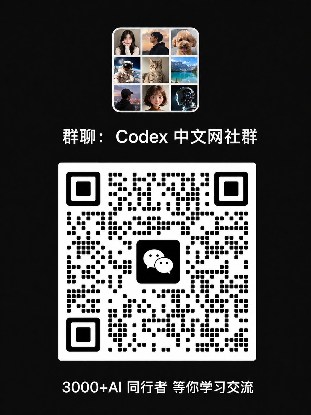 Codex 中文交流群二维码